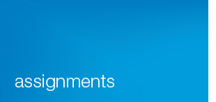 Examples Of Current & Recent Assignments